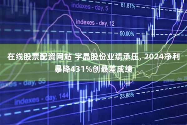 在线股票配资网站 宇晶股份业绩承压, 2024净利暴降431%创最差成绩